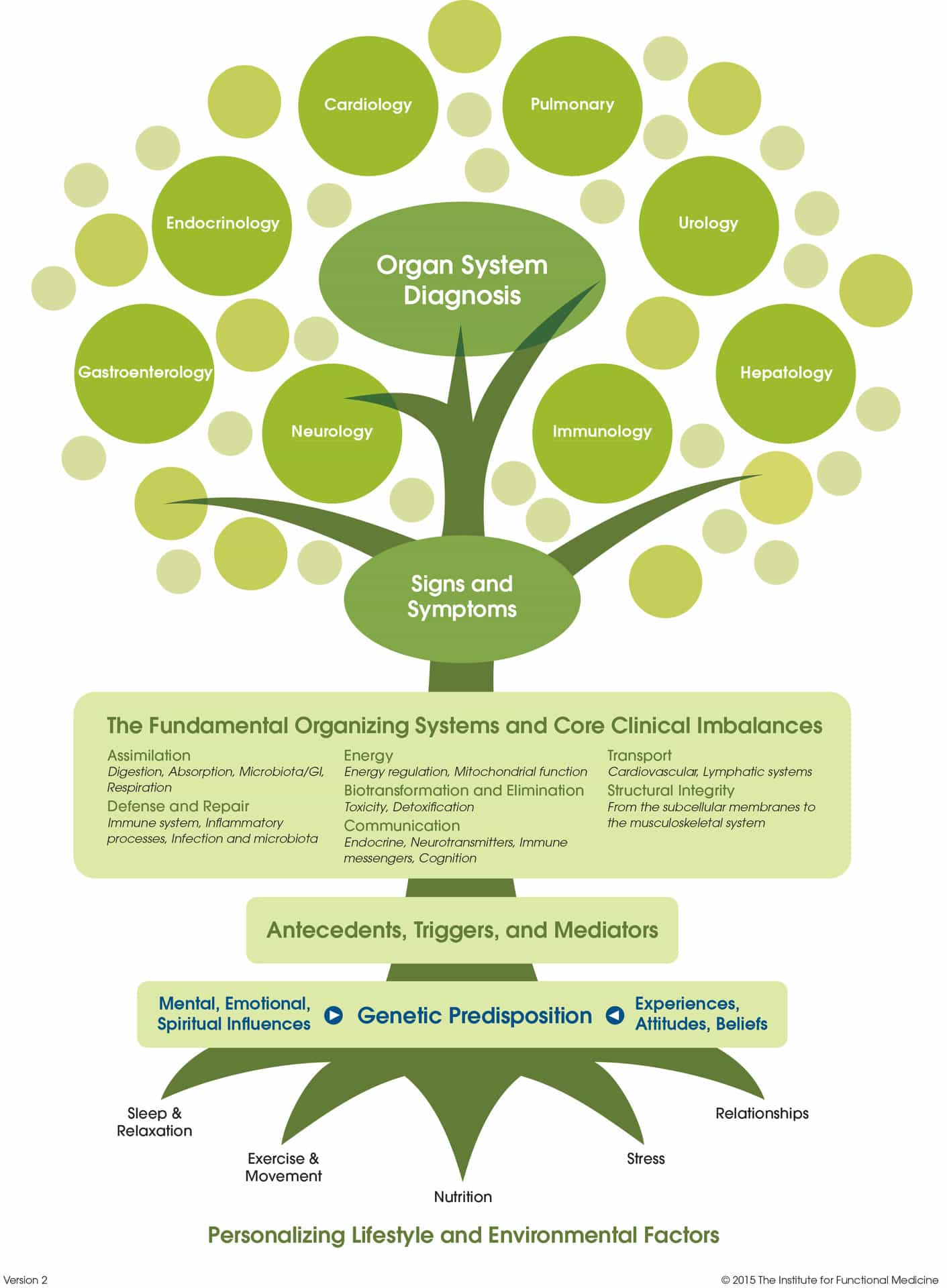 The Functional Medicine Tree