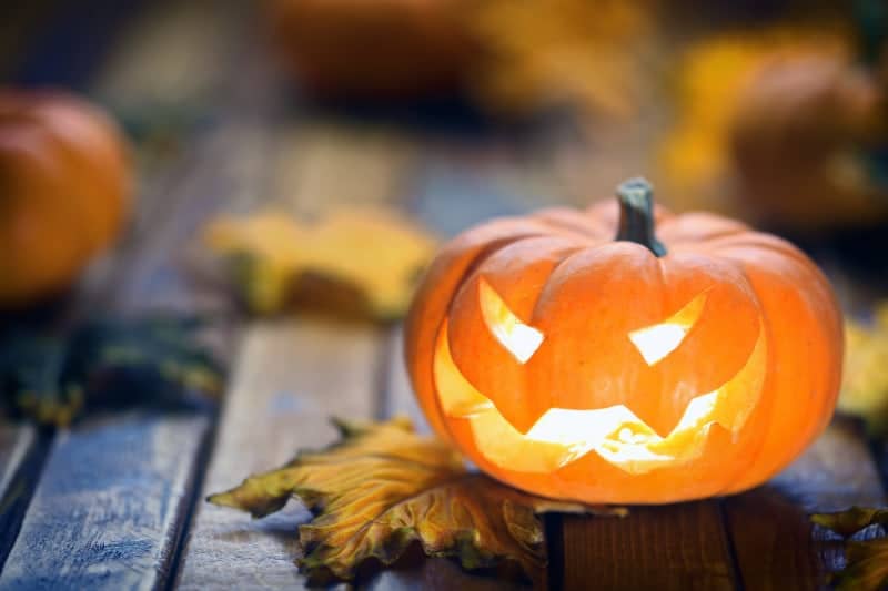 How to Survive Halloween Without All the Candy