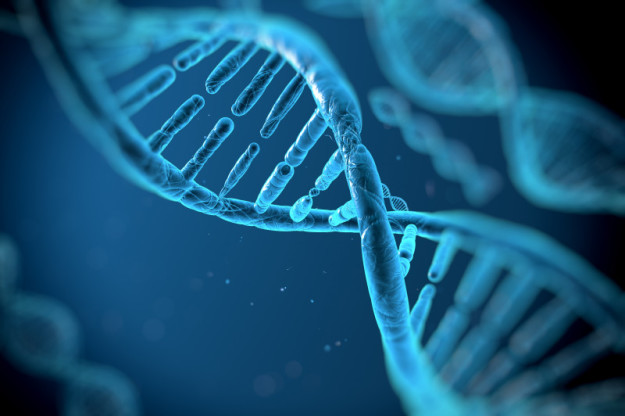 What You Should Know About Your Genes