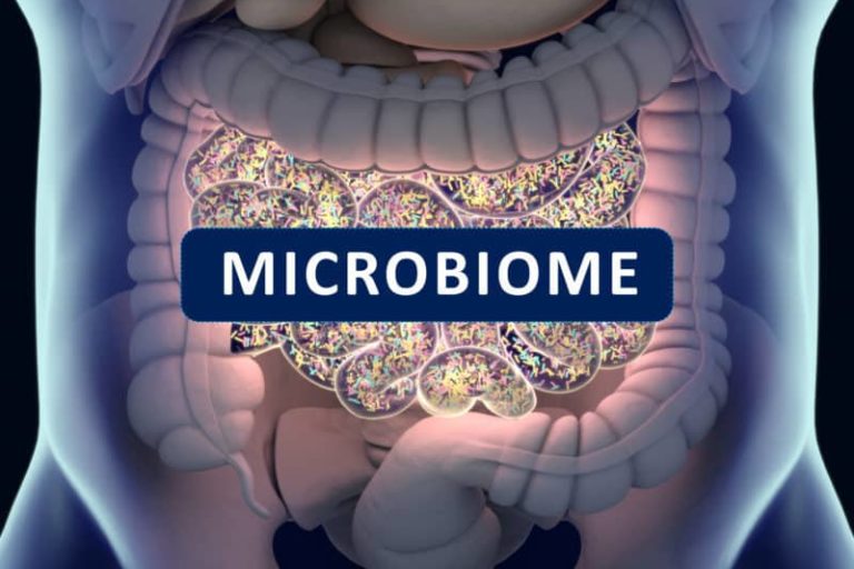 Are You Trapped in A Vicious Health Cycle? The Gut Microbiome, Immune System Health, and Autoimmune Disease