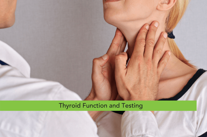 Thyroid Function and Testing