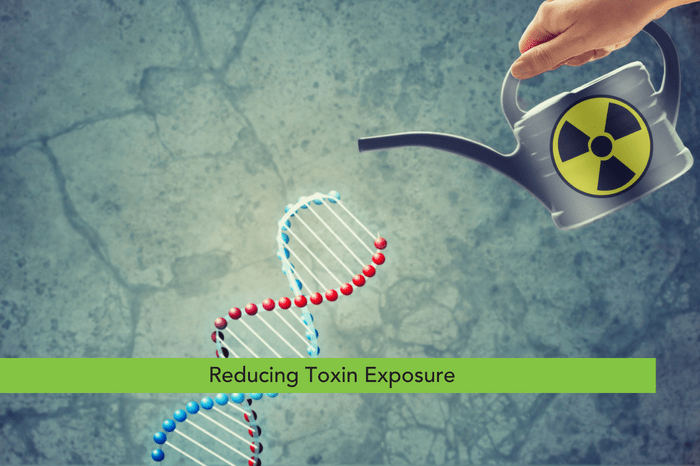Reducing Toxin Exposure
