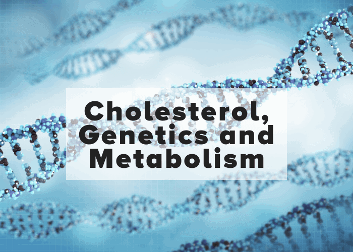 Cholesterol and Metabolism