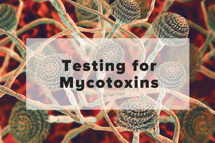testing for mycotoxins