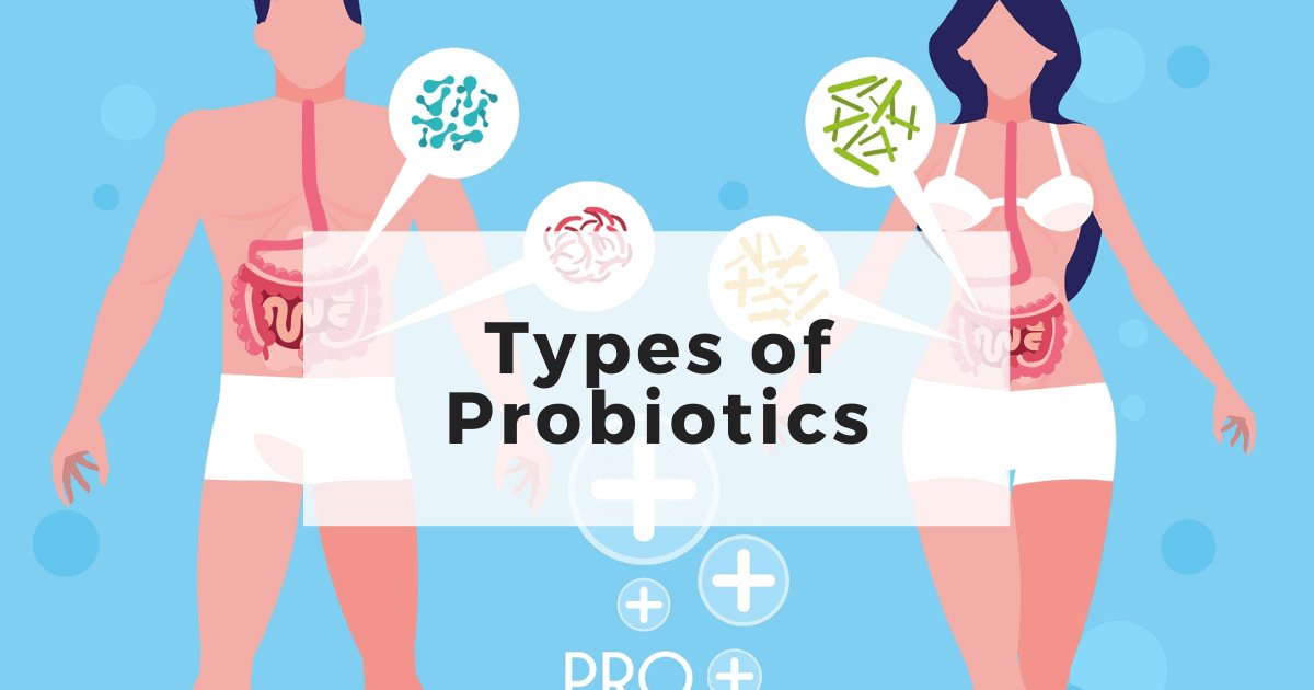 Types of Probiotics