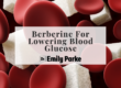 berberine for lowering blood glucose
